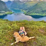 Perfect Base In Jolster With Stunning Views Of Jolstravatnet *