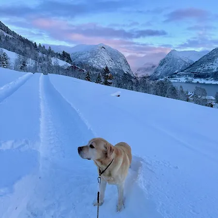 度假居 Perfect Base In Jolster With Stunning Views Of Jolstravatnet *