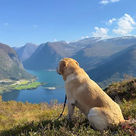 Perfect Base In Jolster With Stunning Views Of Jolstravatnet Skei (Sogn og Fjordane)