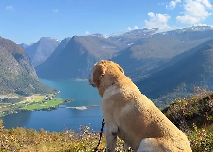 Perfect Base In Jolster With Stunning Views Of Jolstravatnet Skei