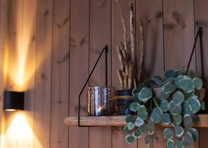 With Unmatched View In Jolster *